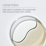 Dermalogica Hyaluronic Ceramide Mist