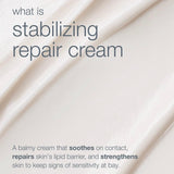 Dermalogica Stabilizing Repair Cream